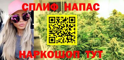 дмт Бузулук