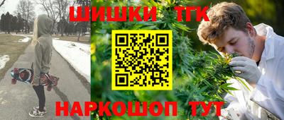 МДПВ Будённовск