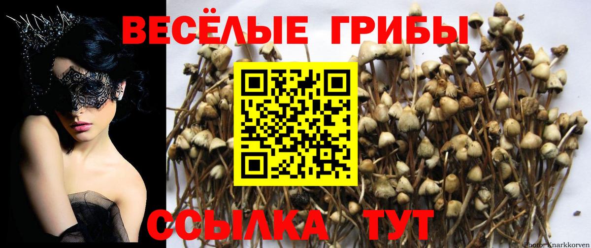 Галлюциногенные грибы ЛСД  Псилоцибиновые грибы GOLDEN TEACHER  Октябрьский  Вход с VPN 