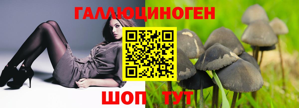 Галлюциногенные грибы прущие грибы Октябрьский